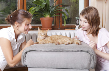 mit der hauskatze spielen