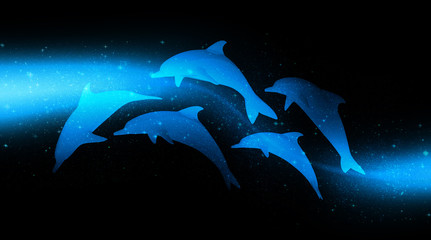 star dolphins © Michael