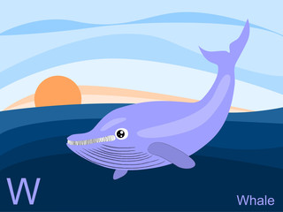 Animal alphabet flash card, W for whale