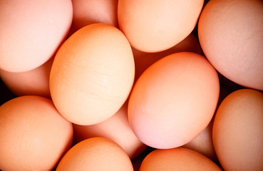 abstract eggs background