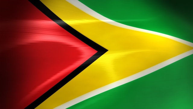 Guyana Flag - HD Loop
