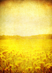 image of blooming field over vintage paper
