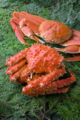 タラバガニとズワイガニ