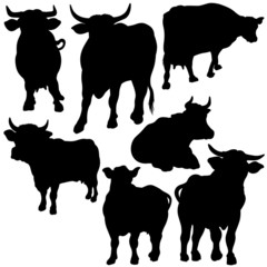 Cow Set Silhouettes 2 - black hand drawn illustration