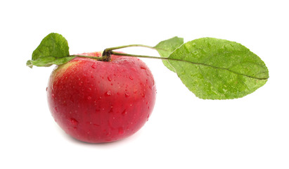 Apple with leaves