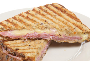Toasted Pressed Sandwich or Panini