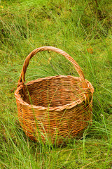 Fototapeta na wymiar woven basket in the grass