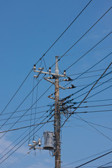 Power supply lines