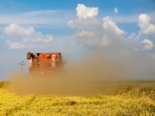 Fototapeta premium harvesting