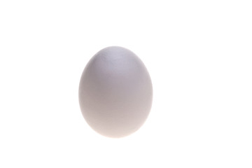 White egg