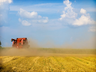 Naklejka premium harvesting