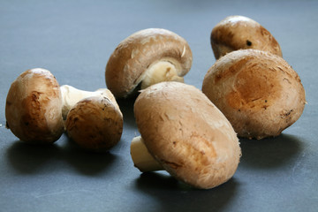 braune Champignons verteilt
