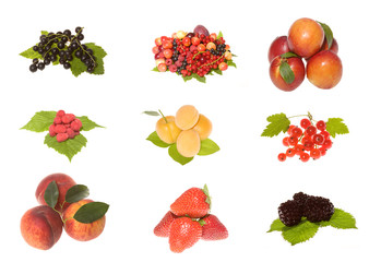 Fruits and berries