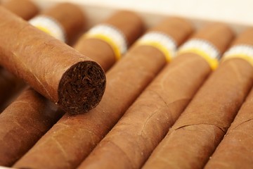 Box of Cuban Cigars