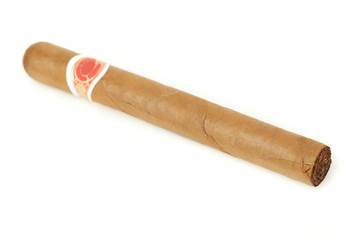 Cuban Cigar