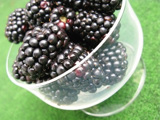 Black berries in a glass
