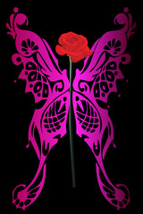 rose and butterfly