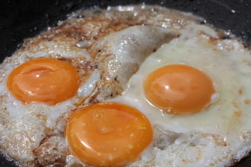 fried eggs
