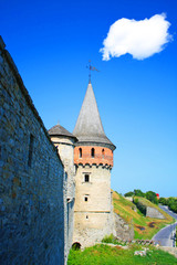 Fototapeta premium castle