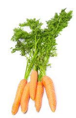 Fresh Vegetables carrots