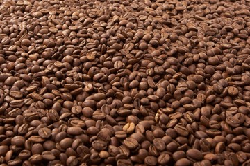 coffee grain