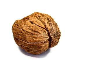 Alone walnut isolated
