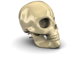 skull