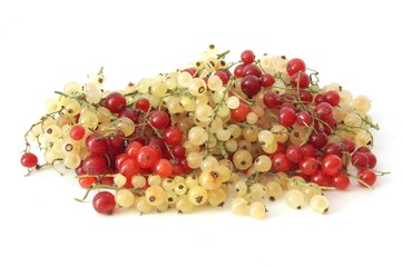 Johannisbeeren