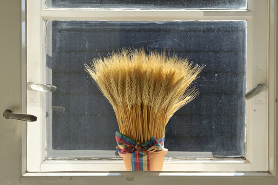 Altes Fenster