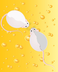 Two mice against from yellow cheese full of holes