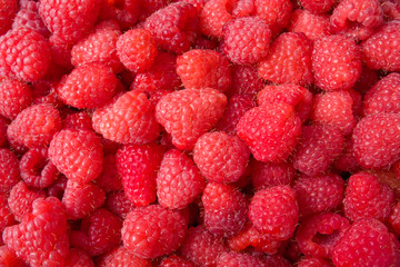 raspberries