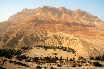 Oasis under mountain