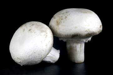 Button Mushrooms