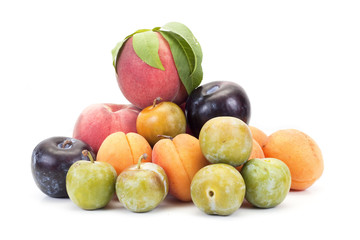 Fototapeta premium fruit
