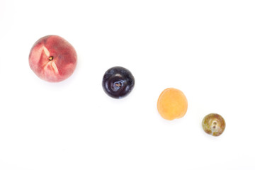 fruits
