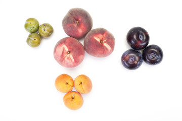fruits