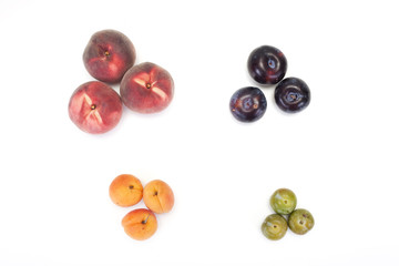 fruit