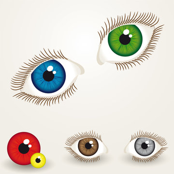 eyes