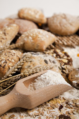 Variety of whole wheat bread