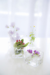 フラワーアレンジメント