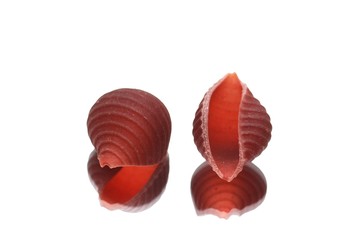 Isolated pasta reflected it's shape