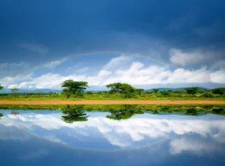 Zelfklevend Fotobehang Rainbow in the Lake © Anna Om