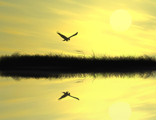 Reflected riparian tree and eagle in golden sunset