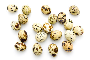 Quail eggs