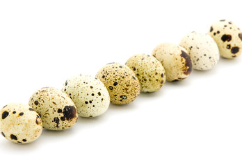 Obraz premium Quail eggs
