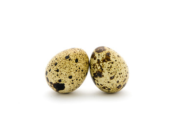 Obraz premium Quail eggs