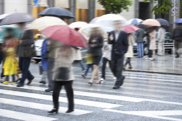 Fototapeta premium 雨の中を歩く通行人