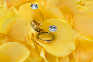 Wedding Rings