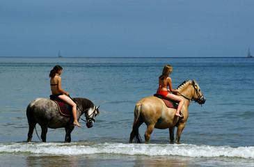 cavalières au bord de mer