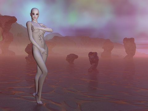 Skin 1a